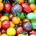 Foto 100 piezas de semillas de tomate de cereza arcoíris de semillas de tomate enano de herencia colorida para plantar el jardín de su casa nuevo éxito de ventas 2024-2023