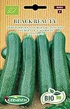 Germisem Zucchini BLACK BEAUTY, ECBIO4018 Foto, Bestseller 2024-2023 neu, bester Preis 3,99 € Rezension