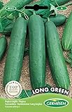 Germisem Long Green Semillas de Pepino 3 g Foto, éxito de ventas 2024-2023 nuevo, mejor precio 2,21 € revisión