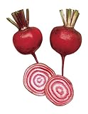 Burpee Chioggia Beet Seeds 200 seeds Photo, bestseller 2024-2023 new, best price $5.65 ($0.03 / Count) review