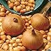 Foto Semillas vegetales100Pcs/Bag Vegetable Seeds suculentas cebolla nutritiva fresca de rápido crecimiento - Semillas de cebolla nuevo éxito de ventas 2024-2023