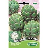 Germisem Vert de Laon Semillas de Alcachofa 1 g Foto, éxito de ventas 2024-2023 nuevo, mejor precio 2,21 € revisión