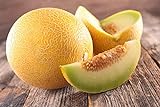Lot de 50 Graines de Melon Ananas - chair orange, sucrée, juteuse et très parfumée - culture facile - la plante peut porter jusqu’à 6/8 fruits - vigoureuse et très ramifiée - semences reproductibles Photo, best-seller 2024-2023 nouveau, meilleur prix 4,99 € examen