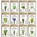 Photo Seedra 12 Herb Seeds Variety Pack - 3800+ Non-GMO Heirloom Seeds for Planting Hydroponic Indoor or Outdoor Home Garden - Rosemary, Tarragon, Lavender, Oregano, Basil, Thyme, Parsley, Chives & More new bestseller 2024-2023