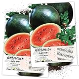 Seed Needs, Sugar Baby Watermelon (Citrullus lanatus) Twin Pack of 100 Seeds Each Non-GMO Photo, bestseller 2024-2023 new, best price $4.85 ($0.05 / Count) review