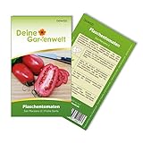 Flaschentomaten San Marzano 2 Samen - Solanum lycopersicum - Tomatensamen - Gemüsesamen - Saatgut für 20 Pflanzen Foto, Bestseller 2024-2023 neu, bester Preis 1,99 € (0,10 € / stück) Rezension