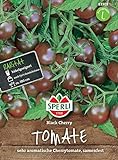 83303 Sperli Premium Tomaten Samen Black Cherry | Cherrytomate | Schwarze Tomaten | Cherry Tomaten | Schwarze Tomaten Samen Foto, Bestseller 2024-2023 neu, bester Preis 5,47 € Rezension