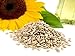 Foto Samore Sonnenblumenkerne geschält erstklassige Qualität Wildvogelfutter neu Bestseller 2024-2023