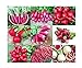 Photo Please Read! This is A Mix!!! 100+ Radish Mix 9 Varieties Seeds, Heirloom Non-GMO, Colorful, Pink, Red, White, Sweet and Mild, from USA new bestseller 2023-2022