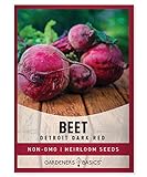 Beet Seeds for Planting Detroit Dark Red 100 Heirloom Non-GMO Beets Plant Seeds for Home Garden Vegetables Makes a Great Gift for Gardeners by Gardeners Basics Photo, bestseller 2024-2023 new, best price $5.95 review