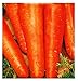 Foto Semillas de zanahoria san valerio - verduras - daucus carota - aprox. 4500 semillas - las mejores semillas de plantas - flores - frutas raras - zanahorias - idea de regalo - nuevo éxito de ventas 2024-2023