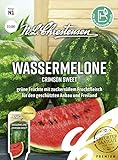Wassermelone Crimson Sweet Samen, Saatgut Foto, Bestseller 2024-2023 neu, bester Preis 3,23 € Rezension