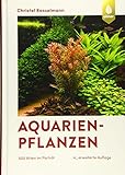 Aquarienpflanzen: 500 Arten im Porträt Foto, Bestseller 2024-2023 neu, bester Preis 69,95 € Rezension