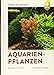 Foto Aquarienpflanzen: 500 Arten im Porträt neu Bestseller 2024-2023