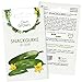 Foto Snackgurken Samen: 5 Gurken Samen für die Snack Gurken Sorte La Diva – Samen Gemüse für Gurken Pflanzen – Gurken Saatgut – Gemüse Samen OwnGrown neu Bestseller 2022-2021