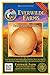 Photo Everwilde Farms - 500 Texas Early Grano Onion Seeds - Gold Vault Jumbo Seed Packet new bestseller 2024-2023