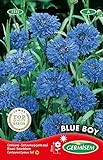 Germisem Blue Boy Semillas de Aciano 1.5 g Foto, éxito de ventas 2024-2023 nuevo, mejor precio 2,70 € revisión