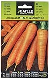 Batlle Gemüsesamen - Möhre Chantenay rotes Herz (7500 Samen) Foto, Bestseller 2024-2023 neu, bester Preis 4,95 € Rezension