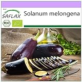 SAFLAX - Ecológico - Berenjena - Púrpura Larga - 20 semillas - Solanum melongena Foto, éxito de ventas 2024-2023 nuevo, mejor precio 3,95 € revisión