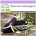 Photo SAFLAX - BIO - Aubergine - Longue violette - 20 graines - Solanum melongena nouveau best-seller 2022-2021