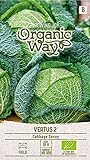 Organic Way | WIRSING VERTUS 2 samen | Gemüsesamen | Kohlsamen | Garten Samen | Mittelfrühsorte für die Sommer- bzw. Herbsternte | 1 Pack Foto, Bestseller 2024-2023 neu, bester Preis 2,88 € Rezension