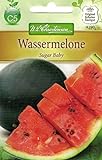 Chrestensen Wassermelone 'Sugar Baby' Foto, Bestseller 2024-2023 neu, bester Preis 2,33 € Rezension