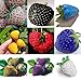 Foto 100 PC/bolso Semillas de color R paja arco fresas fruta multicolor Semillas Semilla Jardín Macetas y ERS nuevo éxito de ventas 2024-2023