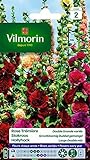 Vilmorin 5751742 Pack de Graines Rose Trémière Double Grande Variée Photo, best-seller 2024-2023 nouveau, meilleur prix 4,78 € examen