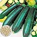 Foto Gemüsesamensorten - 25Pcs Koreanische grüne Zucchini Samen Garten Hof Gemüse Kletterpflanze Kinder Anfänger Gärtner Geschenk -1 # neu Bestseller 2024-2023