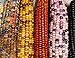Photo Mountain Indian Corn Seeds for Planting Outdoors, 100+ Rainbow Corn Seeds ( Mixed Painted Mountain Indian Corn ), Rainbow Corn Seeds, Ornamental Corn new bestseller 2024-2023