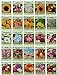 Photo 25 Slightly Assorted Flower Seed Packets - Includes 10+ Varieties - May Include: Forget Me Nots, Pinks, Marigolds, Zinnia, Wildflower, Poppy, Snapdragon and More - Made in the USA new bestseller 2023-2022