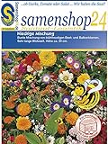 Samenshop24´s Bienenfreude, niedrige Blumenmischung (1 Stück) Foto, Bestseller 2024-2023 neu, bester Preis 2,49 € (2,49 € / Stück) Rezension