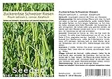 Seedeo® Zuckererbse Schweizer Riesen (Pisum sativum L. convar. Axiphium) ca. 50 Samen BIO Foto, Bestseller 2024-2023 neu, bester Preis 2,95 € Rezension