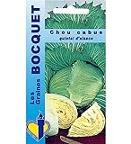 Sachet de graines de Chou cabus Quintal d'Alsace - 3 g - légume feuille - LES GRAINES BOCQUET Photo, best-seller 2024-2023 nouveau, meilleur prix 3,99 € (1 330,00 € / kg) examen