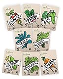 Vegetable Seeds Heirloom SillySeed Collection - 100% Non GMO Veggie Garden Variety Pack: Tomato, Cucumber, Lettuce, Kale, Radish, Peas, Carrot, Jalapeno Pepper Photo, bestseller 2024-2023 new, best price $13.95 review