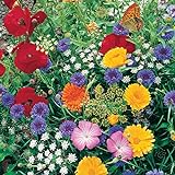 Roll Out Flower Seeded Mats That Attract Butterflies - Set of 2, Butterfly Photo, bestseller 2024-2023 new, best price $16.98 ($8.49 / Count) review