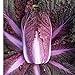 Photo David's Garden Seeds Cabbage Merlot 9797 (Red) 50 Non-GMO, Hybrid Seeds new bestseller 2024-2023