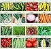 Photo Set of 16 Assorted Organic Vegetable Seeds & Herb Seeds 16 Varieties Create a Deluxe Garden All Seeds are Heirloom, 100% Non-GMO Sweet Pepper Seeds, Hot Pepper Seeds-Red Onion Seeds- Green Onion Seeds new bestseller 2024-2023