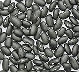 Bean Seed, Black Turtle Bush Bean, Heirloom, Non GMO, 100 Seeds, Terrific Black Beans Photo, bestseller 2024-2023 new, best price $3.99 review
