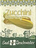 Die Stadtgärtner Zucchini-Saatgut | Sorte 