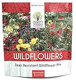 Deer Resistant Wildflower Seed Mixture - Bulk 1 Ounce Packet - Over 15,000 Deer Tolerant Seeds - Open Pollinated and Non GMO Photo, bestseller 2024-2023 new, best price $7.97 review