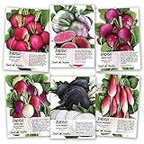 Seed Needs, Multicolor Radish Seed Packet Collection (6 Individual Packets) Non-GMO Seeds Photo, bestseller 2024-2023 new, best price $11.85 review