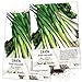 Photo Seed Needs, Tokyo Long White Onion (Allium fistulosum) Twin Pack of 850 Seeds Each Non-GMO new bestseller 2024-2023