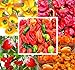 Photo BIG PACK - (500+ Seeds) Hot Pepper Combo I - Bhut Jolokia Ghost Pepper, Habanero Orange, Habanero Red, Jamaican Yellow, Jamaican Red Pepper Seeds- Non-GMO Seeds by MySeeds.Co (BIG PACK - Hot Pepper I) new bestseller 2024-2023