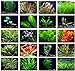 Photo Texas Aquarium Plant Bundle - 20 Species Live Aquarium Plants Package new bestseller 2024-2023