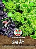 82860 Sperli Premium Salat Samen Mix | Pflücksalat Salatmischung | Saatband | Salat Saatgut | Salat Mix Samen Foto, Bestseller 2024-2023 neu, bester Preis 3,72 € Rezension