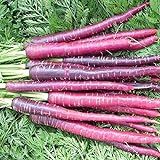 David's Garden Seeds Carrot Cosmic Purple 1199 (Purple) 200 Non-GMO, Heirloom Seeds Photo, bestseller 2024-2023 new, best price $3.45 review