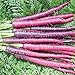 Photo David's Garden Seeds Carrot Cosmic Purple 1199 (Purple) 200 Non-GMO, Heirloom Seeds new bestseller 2023-2022