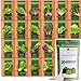 Photo Bulk Lettuce & Leafy Greens Seed Vault - 3000+ Non-GMO Vegetable Seeds for Planting Indoor or Outdoor - Kale, Spinach, Butter, Oak, Romaine Bibb & More - Hydroponic Home Garden Seeds (20 Variety) new bestseller 2023-2022