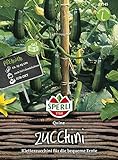 Zucchini, Quine, Cucurbita pepo Foto, Bestseller 2022-2021 neu, bester Preis 4,56 € Rezension